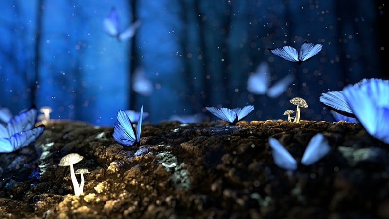 Enchanted Meadows